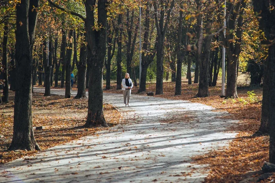 Парк собино ростов на дону фото