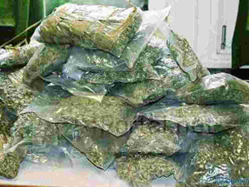 В Ростовской области изъяли 212 кг марихуаны на 30 млн рублей
