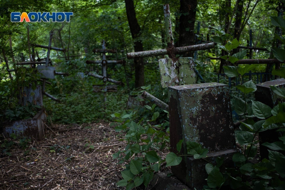 Вандалу из Ростовской области за кражу оградки с кладбища дали полгода тюрьмы