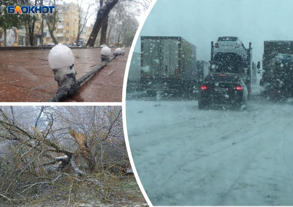 В Ростовской области из-за непогоды упало несколько деревьев, перевернулся грузовик и встала часть трассы М-4 «Дон»