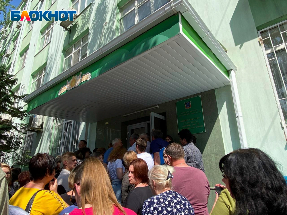 В Ростове у Минсельхоза образовалась огромная очередь из фермеров, приехавших за субсидией
