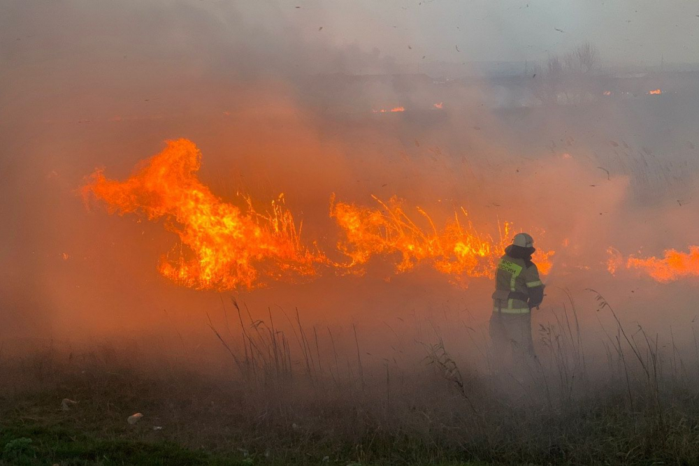 Пожар на левом берегу Дона в Ростове начался недалеко от ресторана «Ближняя дача»