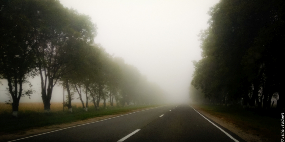 Туман, облачно, без осадков: прогноз погоды в Ростове на 29 октября
