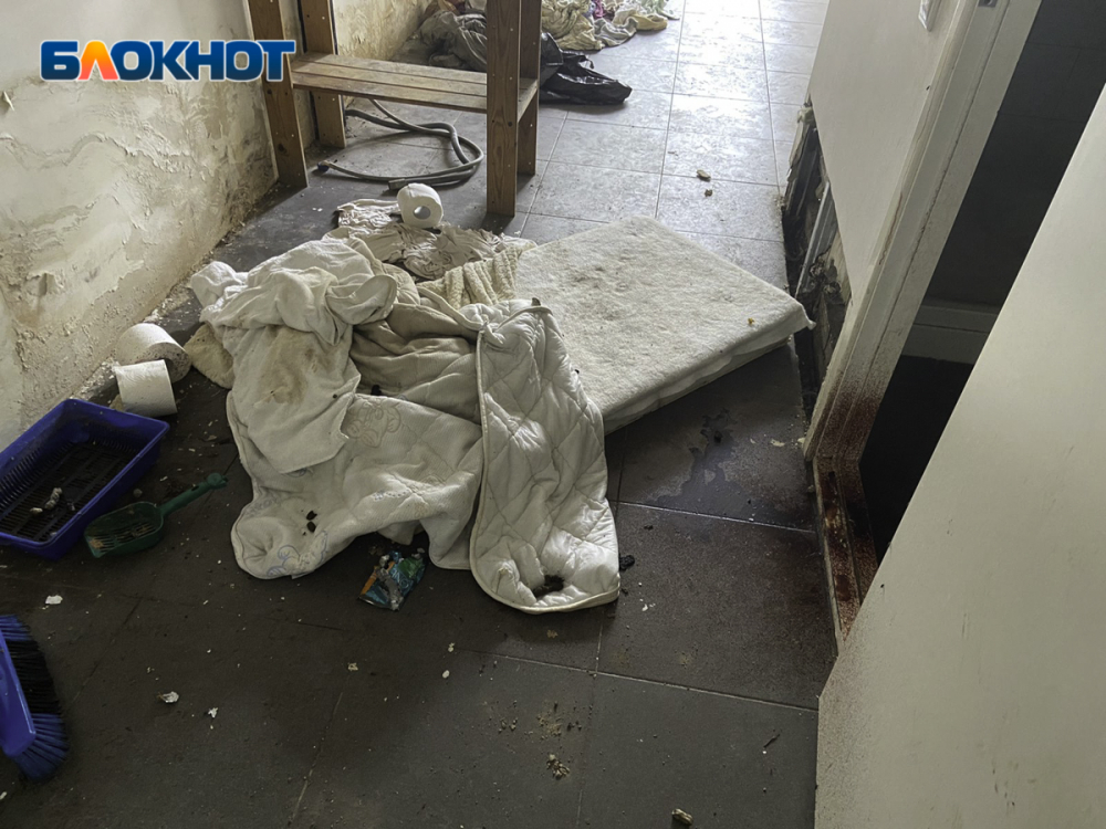 Перед трагедией выбросила все вещи на мусорку: стали известны подробности смерти 32-летней женщины и ее годовалой дочери в центре Ростова