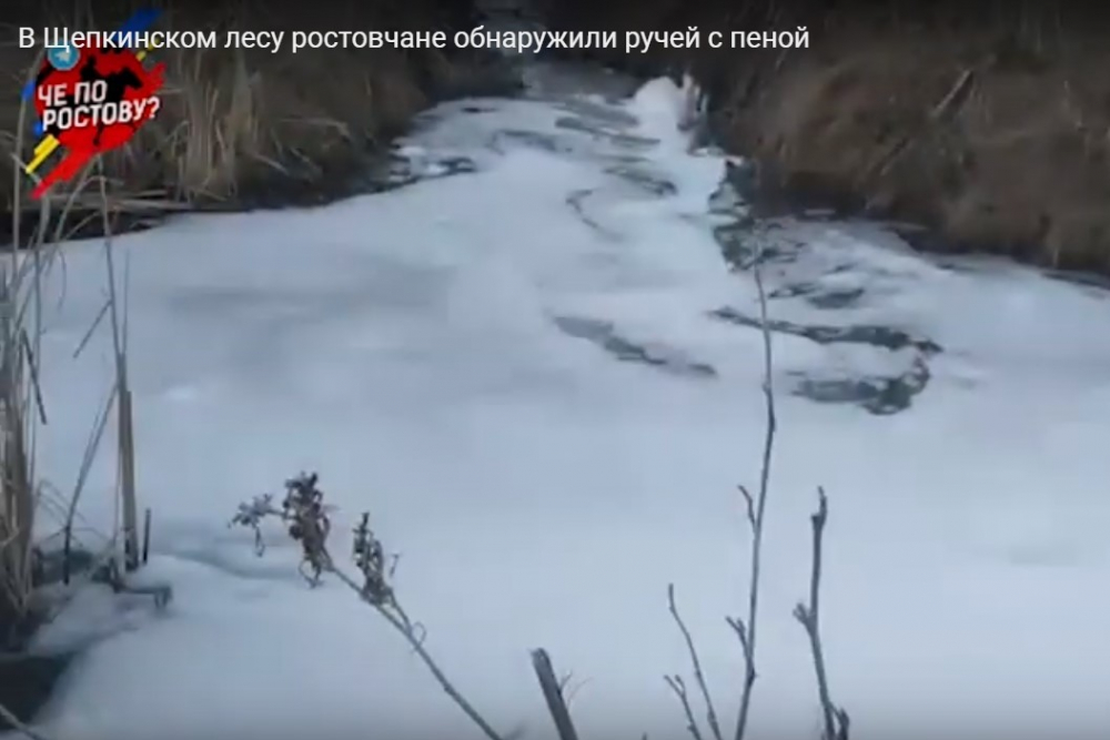 В Щепкинском лесу обнаружили ручей, покрытый пеной