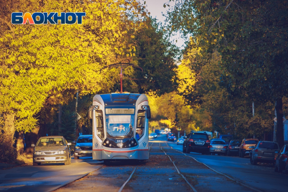 Власти Ростова хотят за 10 копеек найти перевозчика на троллейбусные и трамвайные маршруты