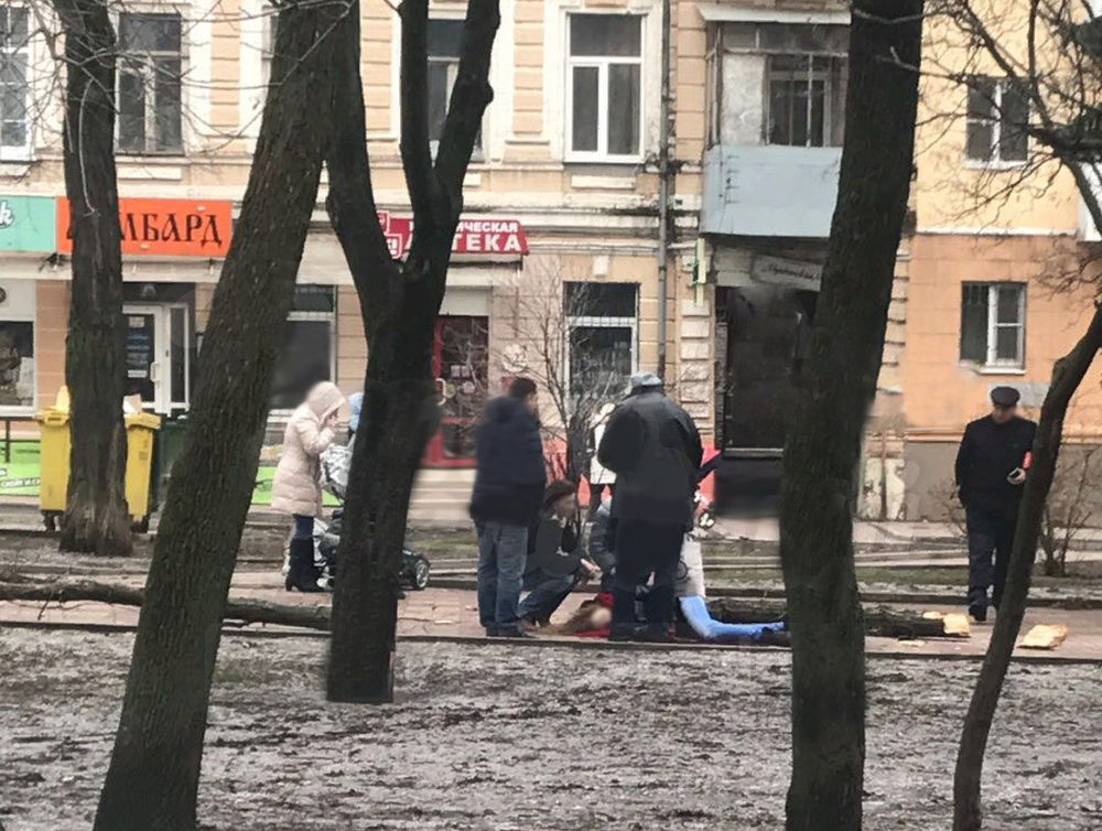 Гнилое дерево убило мать двухлетнего ребенка в Ростове
