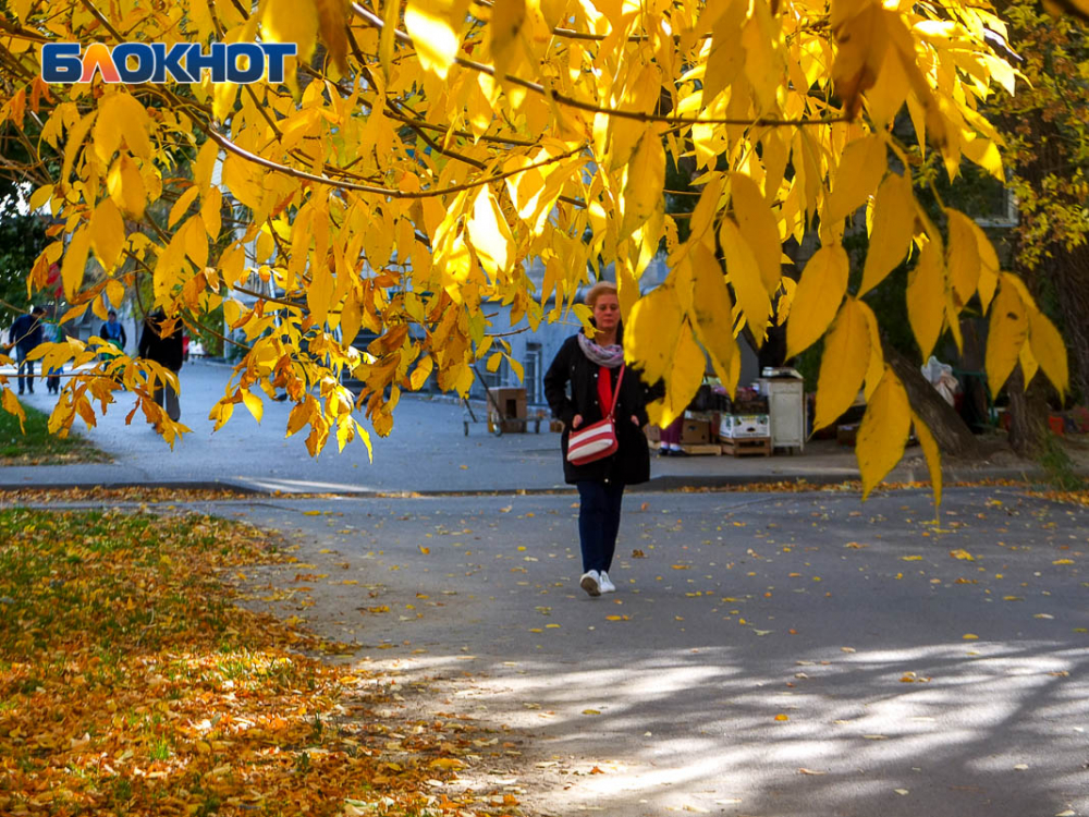 Облачно и +10 градусов: прогноз погоды в Ростове на 20 октября