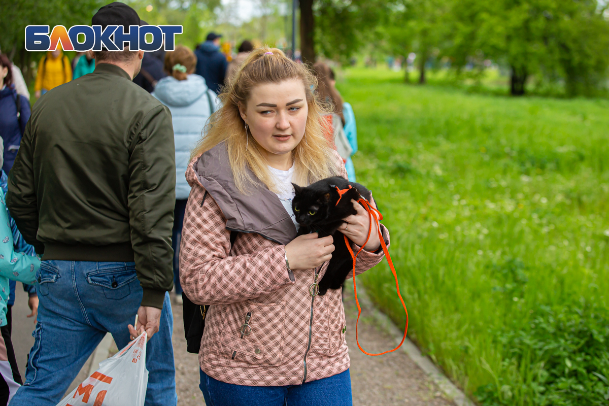 1 миля ростов. Парк первая миля. Парк первая миля Ростов. 1 Миля до тебя. Первая миля фото.