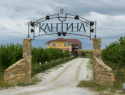 Одну из старейших малых виноделен Ростовской области хотят продать