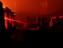 Перекинувшийся на станицу лесной пожар в Ростовской области уничтожил 34 здания