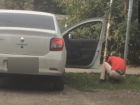 Окучивающего газон в поисках «закладки» «приличного» автомобилиста сняли на видео в Ростове