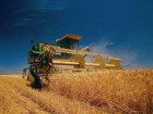 Ростовские аграрии убрали почти треть площадей посевов зерновых культур