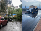 В Ростове сегодня была не погода, а стихийное бедствие: деревья валит, машины переворачивает, поезда останавливаются
