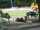 Свалившиеся замертво «три богатыря» на детской площадке Ростова вызвали возмущение у горожан