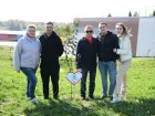 В микрорайоне «Красный Аксай» в День древонасаждения посадили 235 деревьев