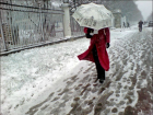 Обрушившийся на город снегопад вызовет «неприятные иллюзии» у теплолюбивых жителей Ростова