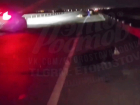  Стадо коров вышло на трассу Азов-Ростов и спровоцировало несколько аварий