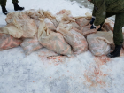 Ростовский браконьер наловил рыбы почти на два миллиона рублей