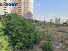 В Ростове покосили сорную растительность после многочисленных жалоб