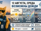 Погода в Ростове-на-Дону 12 августа: тепло, но с дождем