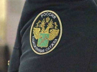 Таможенников ростовского аэропорта осудили за взяточничество
