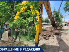 «Дети сажали их на майских праздниках»: ростовчанка пожаловалась на уничтожение молодых деревьев