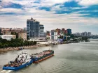 Водный кризис угрожает рыбным запасам Ростовской области﻿