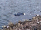 Труп молодого мужчины принесло течением к отдыхающим на берегу Дона в Ростовской области