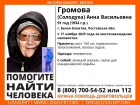 В Ростовской области уже пятый день ищут пропавшую 91-летнюю бабушку 