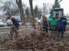 В Ростове очистили рощу на улице Золотистой от мусора 