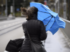 Штормовое предупреждение из-за сильного ветра объявили в Ростове-на-Дону