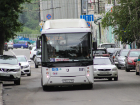 Власти Ростова выделят 32 автобуса для футбольных болельщиков