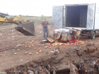 На ростовском полигоне уничтожили 25 тонн польских яблок и почти 100 салата