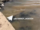 В Ростове минприроды подтвердило сброс сточных вод в Дон 