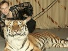Стали известны подробности исчезновения тигра из цирка после нападения на дрессировщика в Ростовской области