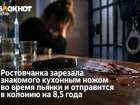 Ростовчанка ударила ножом гостя во время застолья и получила 8,5 года колонии