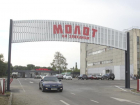 В Ростове на месте издательства «Молот» вместо торгового центра появится рынок
