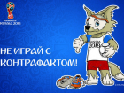 Поддельную «радость» к грядущему Чемпионату мира везут в Ростовскую область