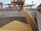 Из-за санкций в Ростовской области не смогли продать 2,6 млн тонн зерна