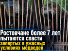Ростовчане более 7 лет пытаются спасти запертых в ужасных условиях медведей