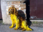 Слонявшаяся по двору ядовито-желтая собака шокировала жителей Ростовской области