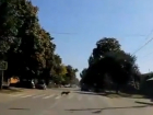 Умный четвероногий пешеход на «зебре» под Ростовом умилил горожан и попал на видео