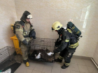 В Ростове сотрудники МЧС спасли животных при пожаре в зоопарке