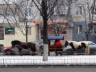 Огромная пробка в Ростове вынудила коней оказаться среди пострадавших 