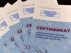 От 20 до 2000 рублей: в Ростовской области привитым от коронавируса начали продавать сертификаты о вакцинации