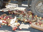 В Ростове бульдозер раздавил 178 тонн импортных яблок