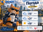 В Ростове 8 сентября будет облачно, но тепло