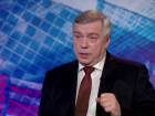 Голубев оценил работу правительства Ростовской области за пандемийный год