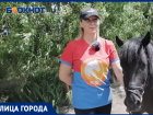 «Многие заговорили»: тренер рассказала, как на Дону детей с ОВЗ лечат с помощью лошадей
